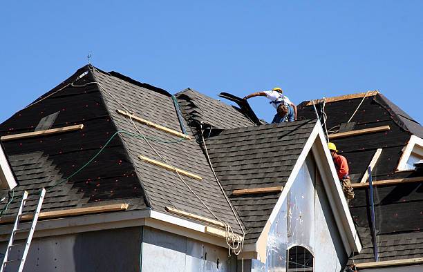 Best Residential Roofing Contractor  in Genoa, IL
